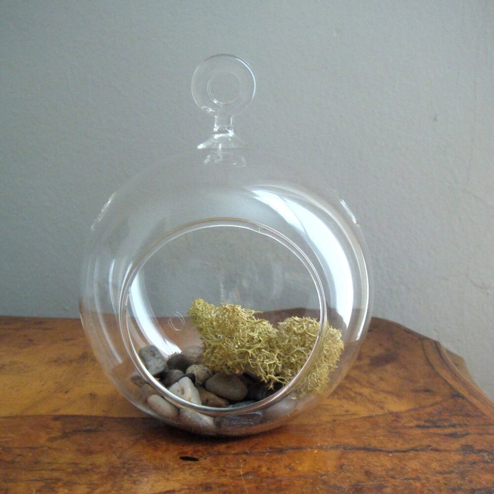 Hanging Glass Bubble Air Plant Holder